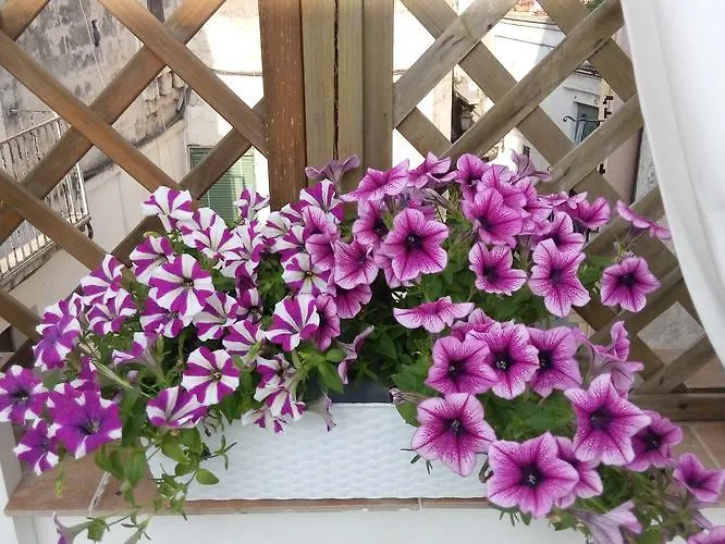 Casa Destradis オーリア